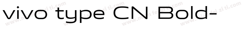vivo type CN Bold字体转换